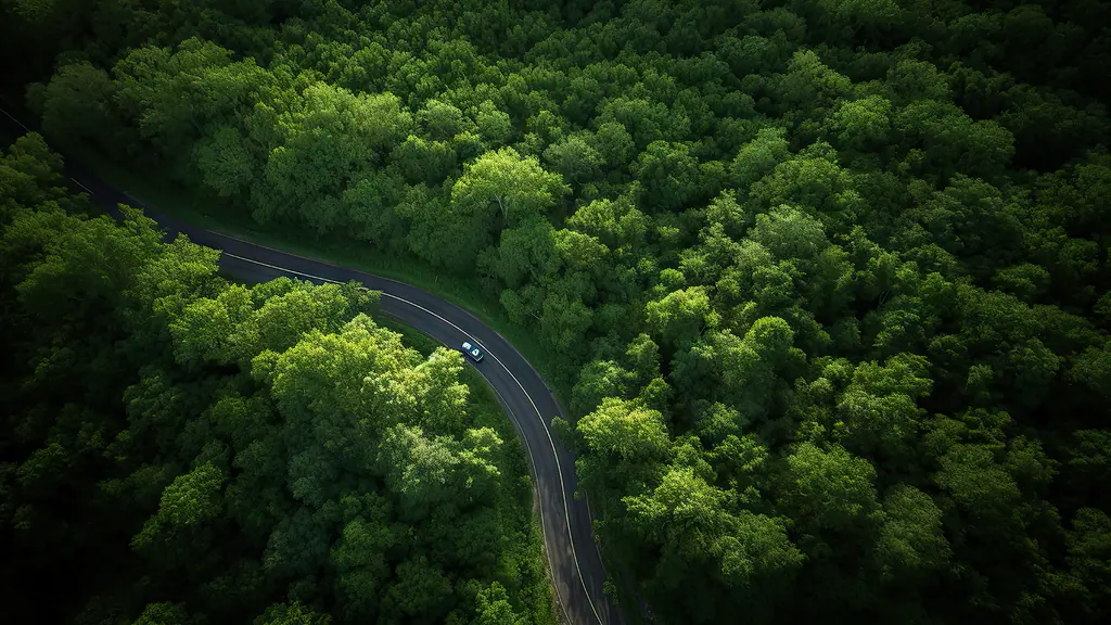 carbon neutral